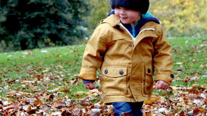 Apprendre en forêt