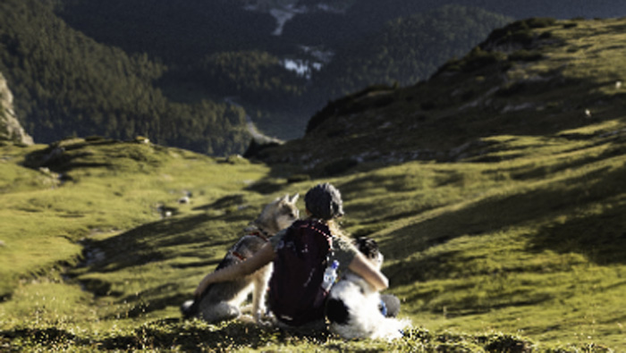 Choisir librement ses apprentissages